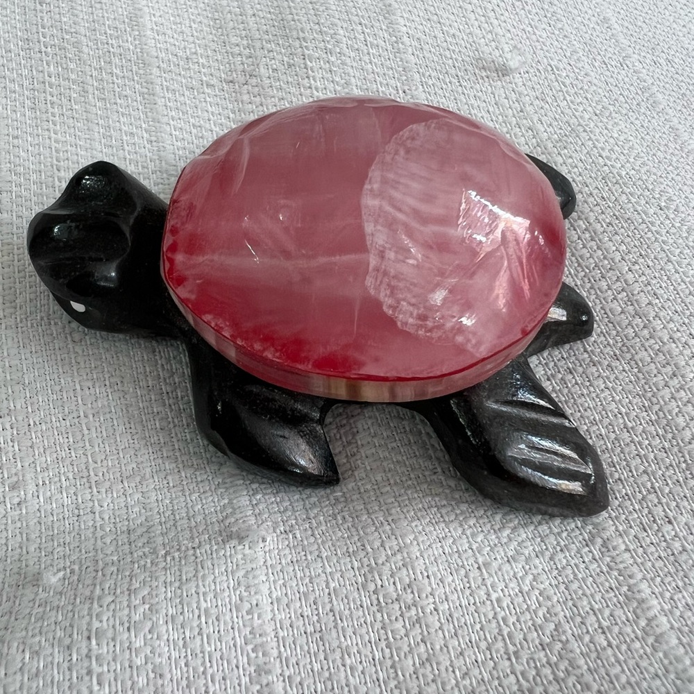 Pink shell‎ turtle - Picture 3 of 4
